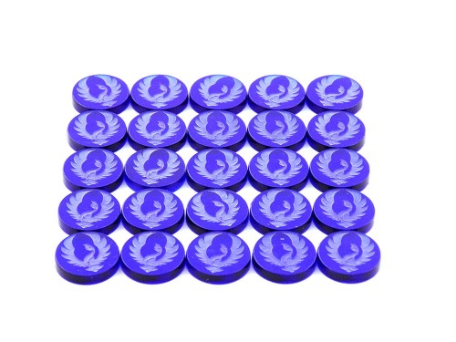 Focus Cygnar.JPG