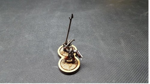 2 modele.jpg